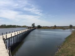 -蒲河岛湿地公园