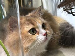-自由生长植物工作室(深港花卉中心店)