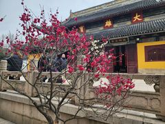 -西园戒幢律寺