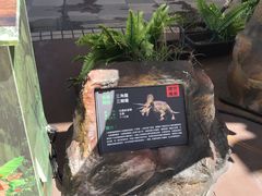 -统一梦时代购物中心