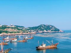 -枸杞岛