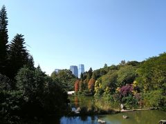 景点-云溪植物园
