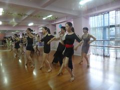 拉丁舞上课-雅米拉艺术中心(少儿舞蹈培训)