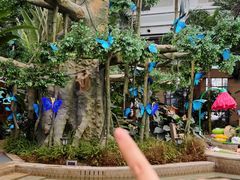 -国信南山温泉