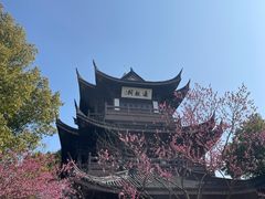 -范蠡湖公园