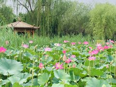 -太阳宫公园