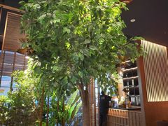 -同仁四季椰子鸡(福田车公庙店)