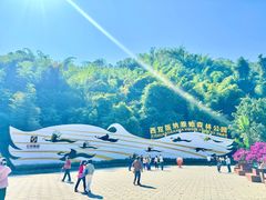 -西双版纳原始森林公园