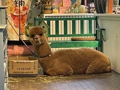 -磁器口古镇
