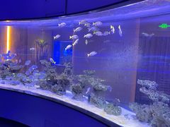 -上和臻品中国菜(花园街店)