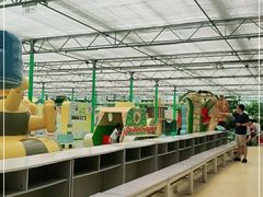 -南宫五洲植物乐园