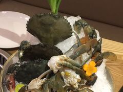 -尚海豆捞(乐虹坊店)