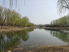 -东郊湿地公园