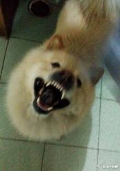 -墨無界刺青TATTOO