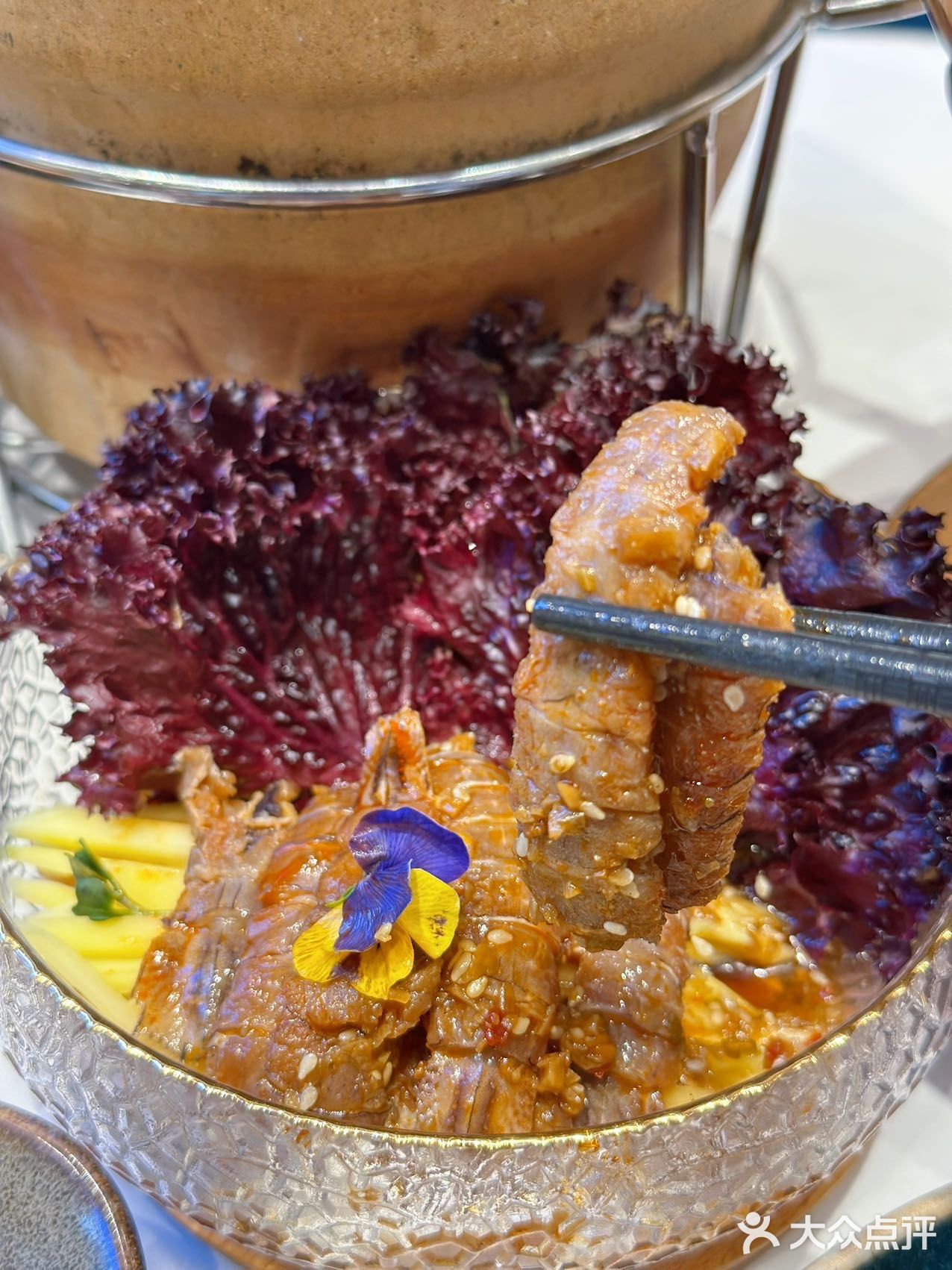 天天Plus｜是从新加坡来的圣诞老人呀🎄