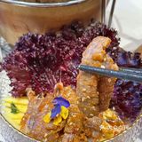 天天Plus｜是从新加坡来的圣诞老人呀🎄