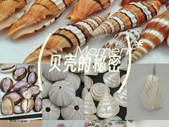 -万达广场(武汉菱角湖店)