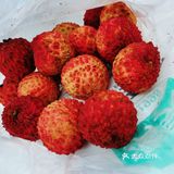 荔枝王个头更大更饱满