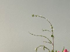 -帝京日语(春熙路旗舰校区)