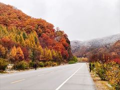 -丹东天桥沟景区