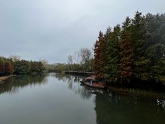 -溱湖国家湿地公园