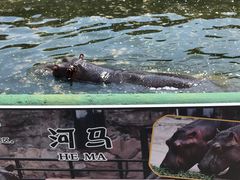 -哈尔滨北方森林动物园