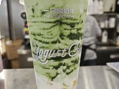 -一只酸奶牛(曲江龙湖星悦荟店)