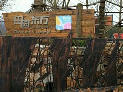 -田园东方蜜桃村的田野营地