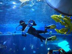 -华夏文旅海洋公园