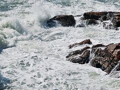 -广东惠东海龟国家级自然保护区