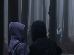 -山王坪喀斯特国家生态公园