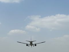 -空港花田景区