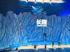 -珠海长隆海洋王国