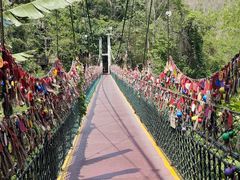 -西双版纳原始森林公园