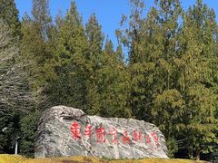 -东平国家森林公园
