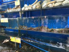 -蚝专家(北滘店)