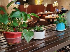 -金枝玉叶上海人家食府(三里河店)