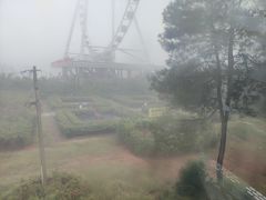 -美心红酒小镇游乐园