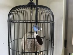 -浙江安吉JW万豪酒店