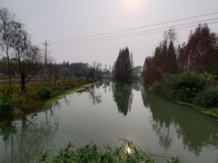 -桤木河湿地公园