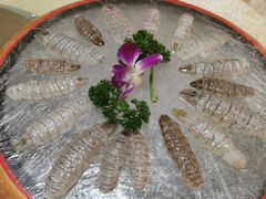 濑尿虾刺身-荔城生鲜盛宴(番禺旗舰店)
