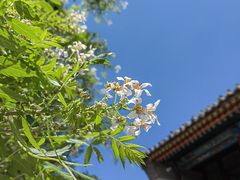 -五台山风景区
