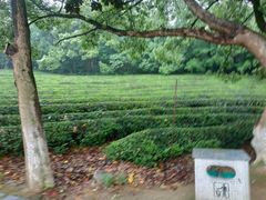 -敬亭山风景名胜区