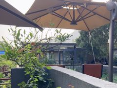 -蘇河湾·新鲁菜·泰山宴(泰山店)