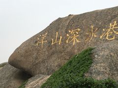 -洋山深水港