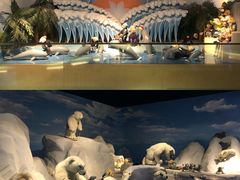 -成都泰迪熊博物馆