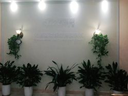 -碧莲盛·不剃发植发