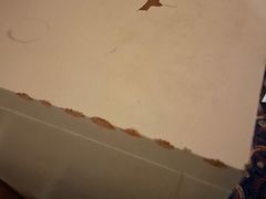 -成都绿洲大酒店(春熙路太古里店)