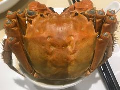 -王宝和酒家(黄浦店)