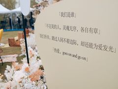 -龙坞茶村
